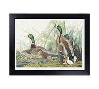 Cushioned Lap Tray with Bean Bag Base for Laptop & Eating - Mallard Ducks By Audubon Design | Padded Lap Desk for Sofa, Bed & Work | Portable TV Dinner & Breakfast Tray, Easy Clean Surface