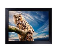 Cushioned Lap Tray with Bean Bag Base for Laptop & Eating - Owl On A Tree Branch Design | Padded Lap Desk for Sofa, Bed & Work | Portable TV Dinner & Breakfast Tray, Easy Clean Surface
