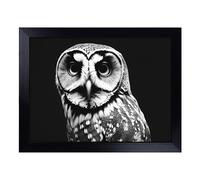 Cushioned Lap Tray with Bean Bag Base for Laptop & Eating - Owl Portrait Monochrome Vol.5 Design | Padded Lap Desk for Sofa, Bed & Work | Portable TV Dinner & Breakfast Tray, Easy Clean Surface