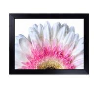 Cushioned Lap Tray with Bean Bag Base for Laptop & Eating - Petals Of A Pink & White Gerbera Design | Padded Lap Desk for Sofa, Bed & Work | Portable TV Dinner & Breakfast Tray, Easy Clean