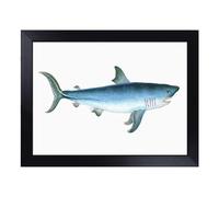 Cushioned Lap Tray with Bean Bag Base for Laptop & Eating - Porbeagle Shark By Edward Donovan Design | Padded Lap Desk for Sofa, Bed & Work | Portable TV Dinner & Breakfast Tray, Easy Clean