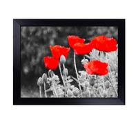 Cushioned Lap Tray with Bean Bag Base for Laptop & Eating - Red Poppy Field Art Design | Padded Lap Desk for Sofa, Bed & Work | Portable TV Dinner & Breakfast Tray, Easy Clean Surface