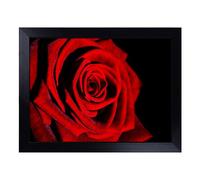 Cushioned Lap Tray with Bean Bag Base for Laptop & Eating - Red Rose Flower No.11 Design | Padded Lap Desk for Sofa, Bed & Work | Portable TV Dinner & Breakfast Tray, Easy Clean Surface