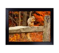 Cushioned Lap Tray with Bean Bag Base for Laptop & Eating - Squirrel Autumn Forest Design | Padded Lap Desk for Sofa, Bed & Work | Portable TV Dinner & Breakfast Tray, Easy Clean Surface