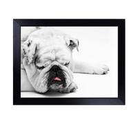 Cushioned Lap Tray with Bean Bag Base for Laptop & Eating - White British Bulldog Dog No.1 Design | Padded Lap Desk for Sofa, Bed & Work | Portable TV Dinner & Breakfast Tray, Easy Clean