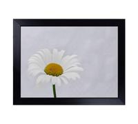 Cushioned Lap Tray with Bean Bag Base for Laptop & Eating - White Daisy Flower No.9 Design | Padded Lap Desk for Sofa, Bed & Work | Portable TV Dinner & Breakfast Tray, Easy Clean Surface