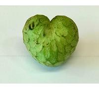 Custard apple cherimoya X1 - Exotic fruit - Fresh from Spain - Sourced by My Exotic Fruit