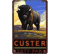Custer State Park South Dakota Buffalo PlainsRetro Funny Metal Sign Sheet Signs Tin Sign,for Outdoor&Indoor Home Wall Decoration,size:8x12