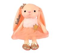 Custom Bunny Stuffed Animal with Embroidered Name,Personalised Ballerina Dolls Plush Rabbit Soft Toys Ballet Dance Recital Gifts for Girls (Complexion)