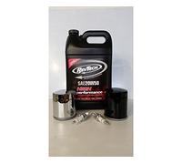 Custom Chrome Cutting Kit for Harley Davidson Dyna, FXR, Softail and Touring 1340 from 1984 to 1999 (RevTech Engine Oil, MCS Oil Filter, Champion Candle) (Black Filter)