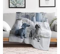 Custom Cute Dachshund Dog Flannel Fleece Throw Blanket 60"*80"（150 * 200cm） Soft Cozy Throws for Couch Sofa Bed Farmhouse Blankets Comfort Decorative Bedtime Blanket Lightweight All Season Easy Care