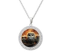 Custom Cute Owl Picture Necklace Personalized Circle Chain Pendant Gold/Silver Photo Dog Tag Keepsake Necklaces Hip Hop Memorial Jewelry Gifts for Men Women, One Size, Titanium Steel, Rhinestone