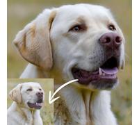 Custom Diamond Painting Kits Full Drill, Craft Your Unique Masterpiece, Ideal for Relaxation & Interior Design, 5D DIY Keepsake, Personalized Artwork