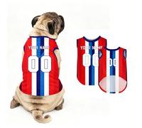 Custom Dog T-Shirt with Number Name Printed, Personalised 2026 England Football Pet Jersey, Breathable Gym Shirt for Medium Small Dogs and Cats, Outfit Gifts for Football Lovers