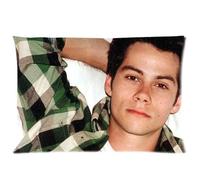 Custom Dylan O'Brien Pillowcase Custom Zippered Pillow Cases 20x30 (Two sides) Standard Size Cushion Cover Case Pillowcover