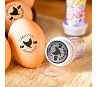 Custom Egg Stamp for Fresh Eggs, Personalized Chicken Egg Stamp with Custom Text Logo for Farm Backyard Chicken Coop, Mini Egg Stamper
