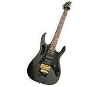 Custom G Electric Guitar with Flame Maple Top in Brown - Perfect for Professional Musicians and Enthusiasts Seeking a and High- Instrument