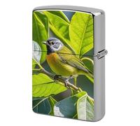 Custom Green Leaves and Birds Lighter Case Personalized Metal Lighter Cover Holder Reusable Shockproof Protective Lighters Without Insert Gift for Men Women Dad Husband