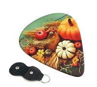 Custom Guitar Picks for Acoustic Guitars Violin Ukulele Bass 6 Pack