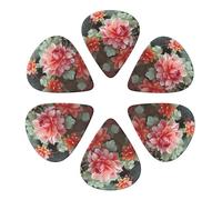 Custom Guitar Picks for Acoustic Guitars Violin Ukulele Bass 6 Pack