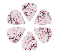 Custom Guitar Picks for Acoustic Guitars Violin Ukulele Bass 6 Pack