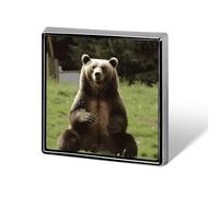 Custom Hi Bear Sit on The Lawn Lapel Pin Aluminum Alloy Button Badge Personalized Exquisite Brooch Classic Mini Pin 0.7" X 0.7" Inch for Backpacks Hat Suit Jacket Clothing Decoration