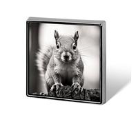 Custom Lapel Pin for Men Women Cute Light Gray Squirrel Brooch Pins for Hats Bags Jackets Backpacks Suits Shirts Shawls Scarves Decoration Jewelry Charms Badge Button Clothing Accessories