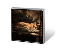 Custom Lapel Pin for Men Women Cute Orange Cat Sleeping Brooch Pins for Hats Bags Jackets Backpacks Suits Shirts Shawls Scarves Decoration Jewelry Charms Badge Button Clothing Accessories