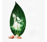 Custom Light Up Photo Frame-Double Sided Wooden Display with Leaf Engraving, Personalised Gift for Couples, Friends or Family, Memory Holder for Wedding, Graduation(Leaf Only,NO Frame)