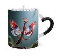Custom Magic Mug Devil's Flower Mantis Color Changing Heat Reveals Hidden Pattern 11 Oz Ceramic Coffee Cup Heat Activated Black to White Mug Novelty Gift for Coffee Lover Women