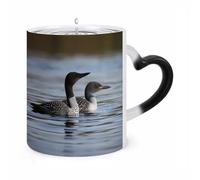 Custom Magic Mug Loon Birds Color Changing Heat Reveals Hidden Pattern 11 Oz Ceramic Coffee Cup Heat Activated Black to White Mug Novelty Gift for Coffee Lover Women
