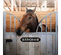 Custom Metal Horse Stall Sign,Horse Stall Name Plate Personalized,Equestrian,Riding,Barn Decor,Ranch Decor,Personalized Barn Sign,Stable Door Sign,Personalised Gift for Horse Lover (Black)