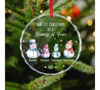 Custom Name Our First Christmas As A Family of Four Crystal Ornament, Personalized 2025 1st First Christmas Family of 4 New Baby Glass Ornament Xmas Tree Crafts Gifts for New Mom Parents