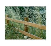 Custom Paint by Number for Adults & Kids Add Your Text/Image/Photo Personalised Paint by Numbers Paint by Numbers Personalised Fun Paint by Numbers Kit for Friends, Pets, Family, Home Decor