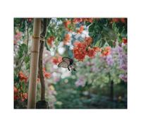 Custom Paint by Number for Adults & Kids Add Your Text/Image/Photo Personalised Paint by Numbers Paint by Numbers Personalised Fun Paint by Numbers Kit for Friends, Pets, Family, Home Decor