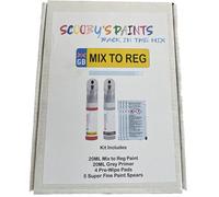 Custom Paint by Registration Number - 20ml Precision Scratch Repair with Needle & Brush - UK Mixed Automotive Pen (Paint Kit)