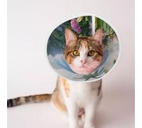 Custom Pet Cones - Unique Design Cat & Dog Cone, Collar for Post-Surgery Recovery, Adjustable Neck 3D Rendering of Tropical Landscapes Large