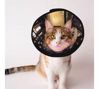 Custom Pet cones - Unique Design Cat & Dog Cone, Collar for Post-Surgery Recovery, Adjustable Neck A cute steampunk tabby cat L