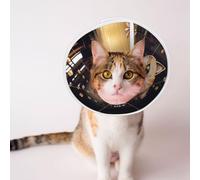 Custom Pet Cones - Unique Design Cat & Dog Cone, Collar for Post-Surgery Recovery, Adjustable Neck A Cute Steampunk Tabby cat Large