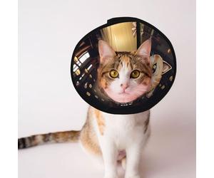 Custom Pet cones - Unique Design Cat & Dog Cone, Collar for Post-Surgery Recovery, Adjustable Neck A cute steampunk tabby cat L