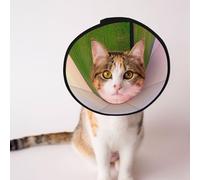 Custom Pet cones - Unique Design Cat & Dog Cone, Collar for Post-Surgery Recovery, Adjustable Neck A hill covered in green grass L