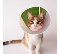 Custom Pet Cones - Unique Design Cat & Dog Cone, Collar for Post-Surgery Recovery, Adjustable Neck A Hill Covered in Green Grass Large