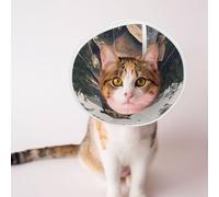 Custom Pet Cones - Unique Design Cat & Dog Cone, Collar for Post-Surgery Recovery, Adjustable Neck A Huge owl Medium