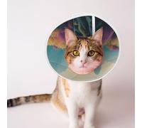 Custom Pet Cones - Unique Design Cat & Dog Cone, Collar for Post-Surgery Recovery, Adjustable Neck A Lively Little River Large