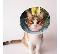 Custom Pet Cones - Unique Design Cat & Dog Cone, Collar for Post-Surgery Recovery, Adjustable Neck A Lively Little Dog Medium