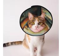 Custom Pet cones - Unique Design Cat & Dog Cone, Collar for Post-Surgery Recovery, Adjustable Neck A vibrant river M