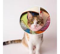 Custom Pet Cones - Unique Design Cat & Dog Cone, Collar for Post-Surgery Recovery, Adjustable Neck Abstract Art, face in a disc Medium