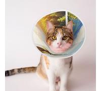 Custom Pet Cones - Unique Design Cat & Dog Cone, Collar for Post-Surgery Recovery, Adjustable Neck an Eagle is Flying Large