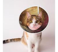 Custom Pet Cones - Unique Design Cat & Dog Cone, Collar for Post-Surgery Recovery, Adjustable Neck Ancient Persian Cities Medium