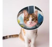 Custom Pet Cones - Unique Design Cat & Dog Cone, Collar for Post-Surgery Recovery, Adjustable Neck Beautiful House in The Morning Small